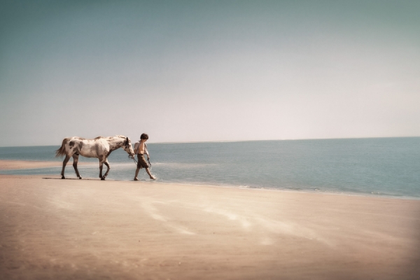 Photograph Jimmy Williams Desolate Beach on One Eyeland