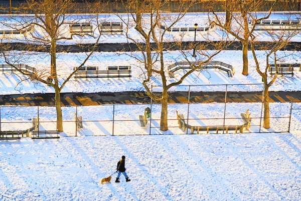 Photograph Mitchell Funk Dog Walker From Above on One Eyeland