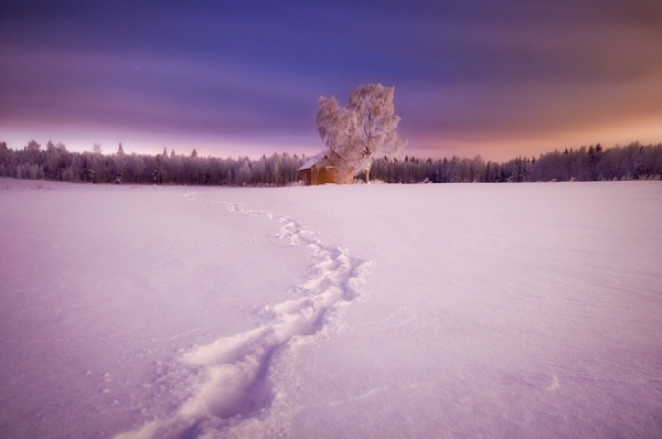 Photograph Mikko Lagerstedt Dreamland on One Eyeland