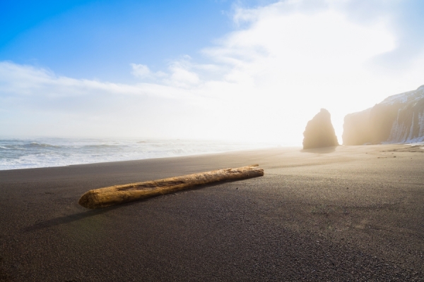 Photograph Oscar Bjarnason Driftwood on One Eyeland