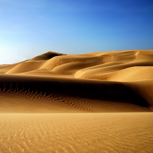 Photograph Edgar Barany Dunes on One Eyeland