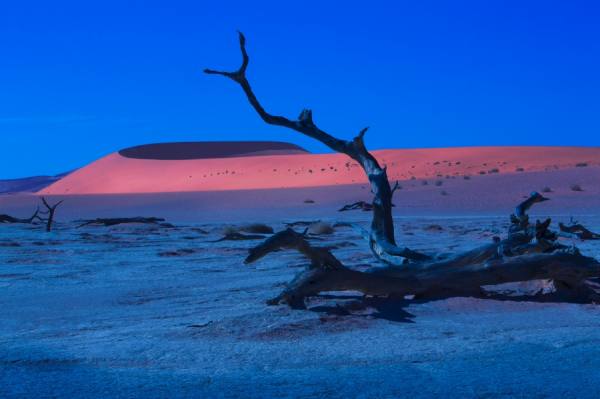 Photograph Joe Standart Dusk In The Dunes on One Eyeland