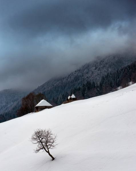 Photograph Alexandru Bobica Elders on One Eyeland
