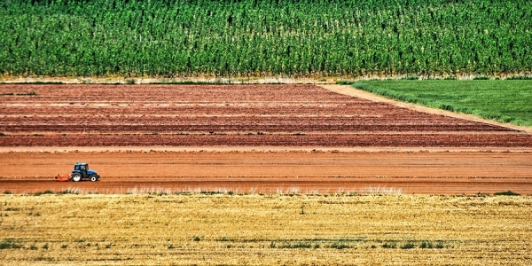 Photograph Adri Fil Farming By Colors on One Eyeland
