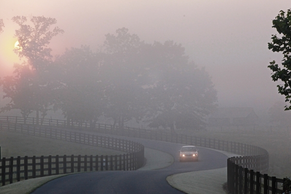 Photograph Chip Henderson Foggy Road on One Eyeland