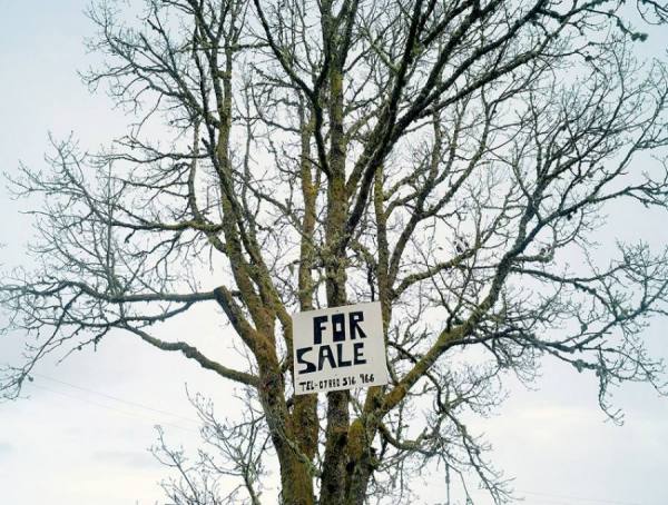 Photograph Craig Easton For Sale on One Eyeland