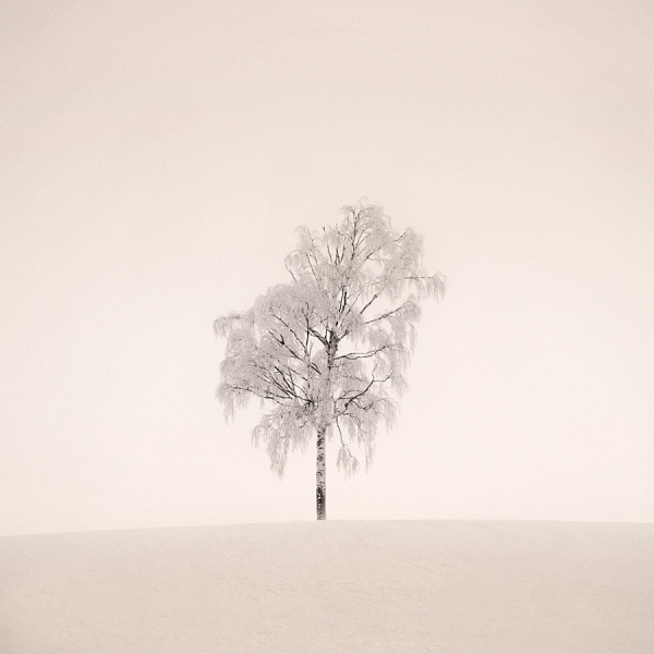 Photograph Mikko Lagerstedt Fragile on One Eyeland