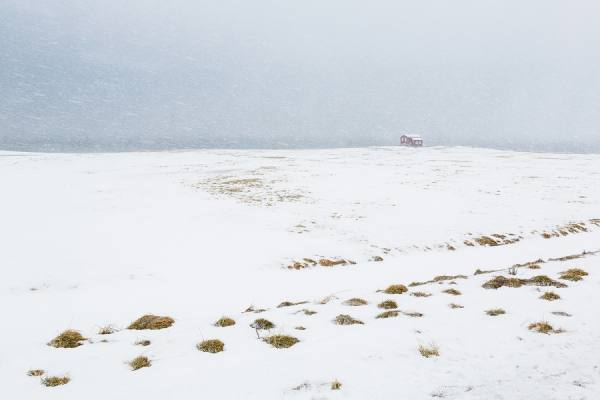 Photograph Oscar Bjarnason Framnes on One Eyeland