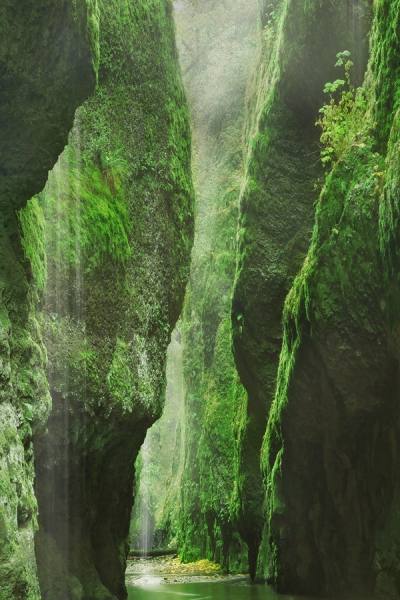 Photograph Craig Bill Gates Of Eden on One Eyeland