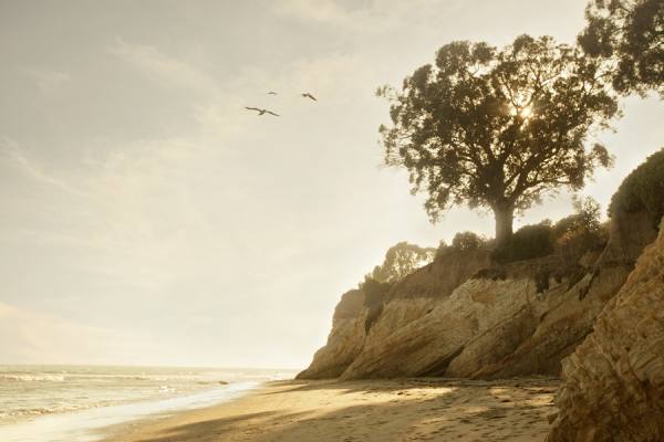 Photograph Henrique Gualtieri Golden Beach on One Eyeland