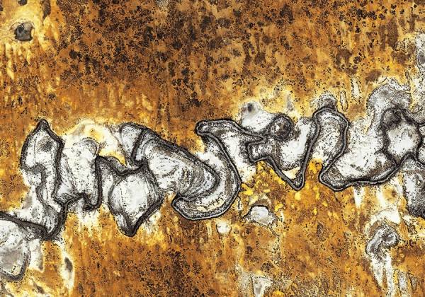 Photograph Max Serradifalco Graffiti Australia on One Eyeland