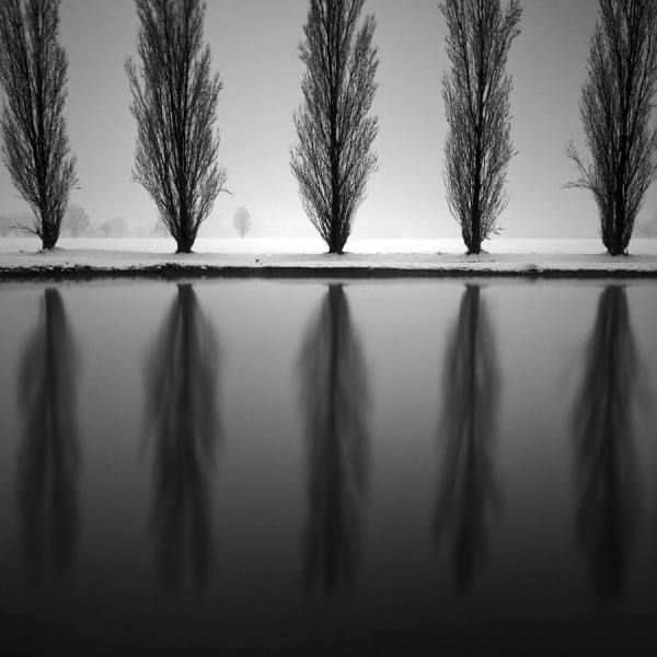 Photograph Pierre Pellegrini Graphical Nature on One Eyeland