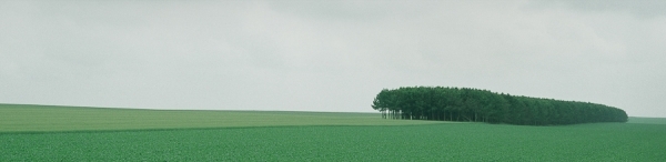 Photograph Stan Musilek Green Field on One Eyeland