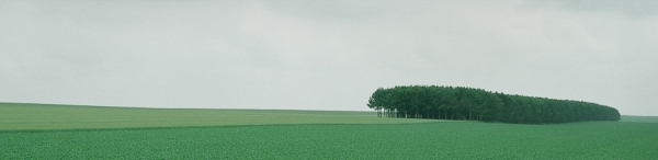 Photograph Stan Musilek Green Field on One Eyeland