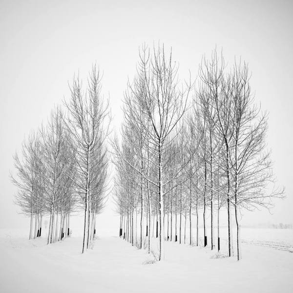 Photograph Pierre Pellegrini Group Photo on One Eyeland