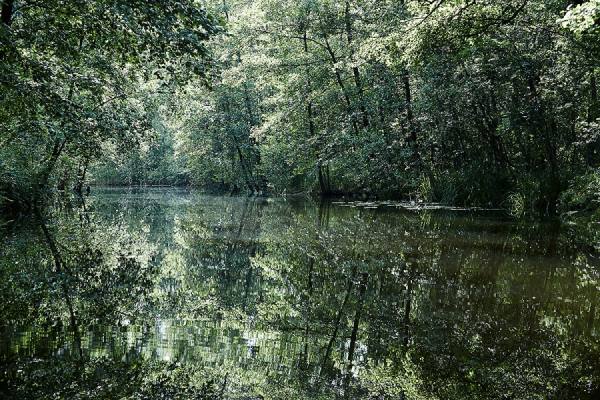 Photograph Rudi Sebastian Havel River on One Eyeland