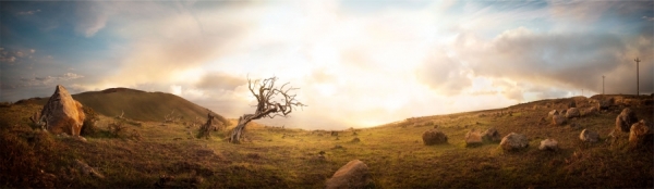 Photograph Caterina Bernardi Hawaiipanorama on One Eyeland