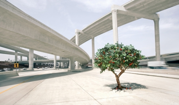 Photograph David Boni Highway on One Eyeland