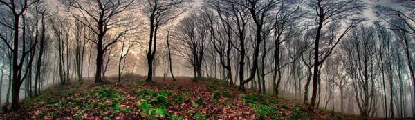 Photograph Nigel Harniman Hill In Fog on One Eyeland