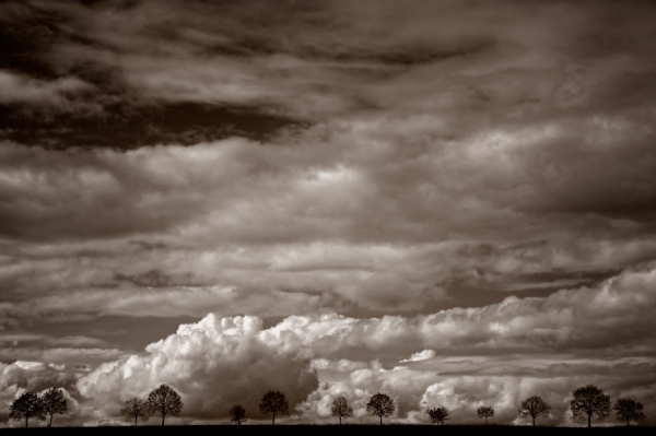 Photograph Claude Bour Horizon on One Eyeland