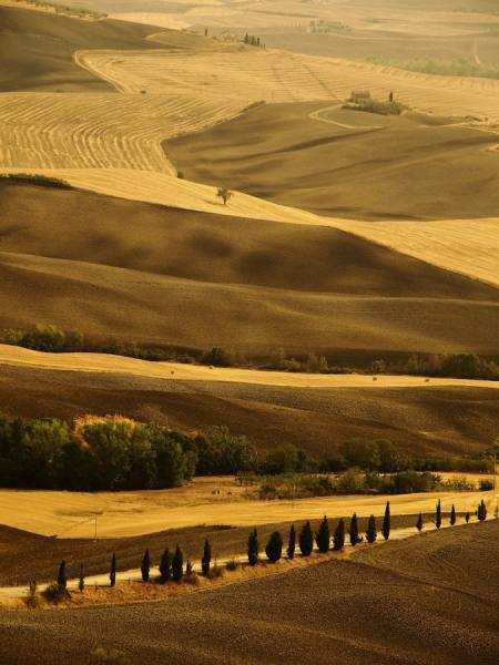 Photograph Enzo Crispino I Colori Della Terra on One Eyeland