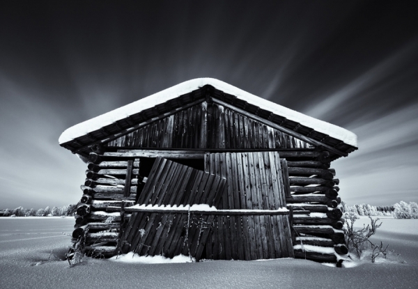 Photograph Joni Niemela In The Middle Of The Snow on One Eyeland