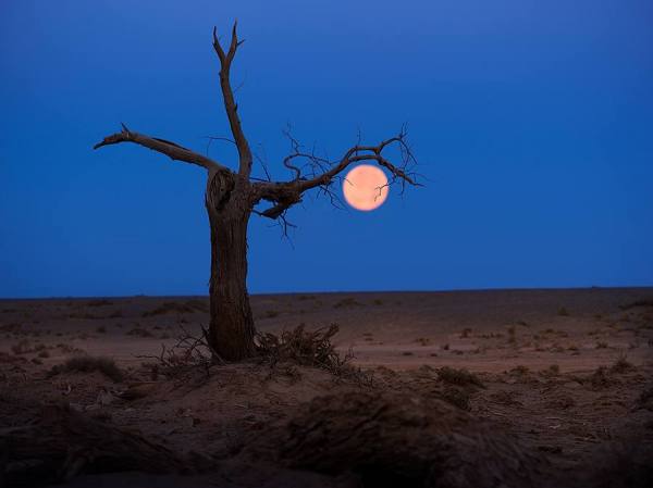 Photograph Suchet Suwanmongkol Inner Mongolia 4 on One Eyeland