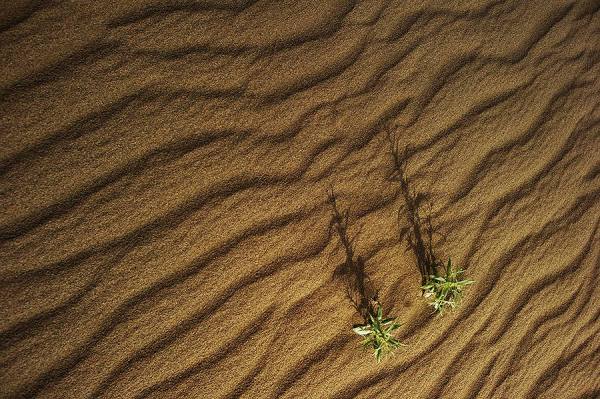 Photograph Suchet Suwanmongkol Inner Mongolia on One Eyeland