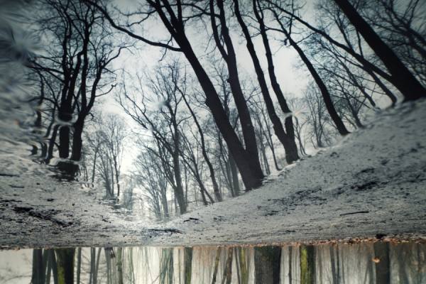 Photograph Andrzej Bochenski Inverted Reality on One Eyeland