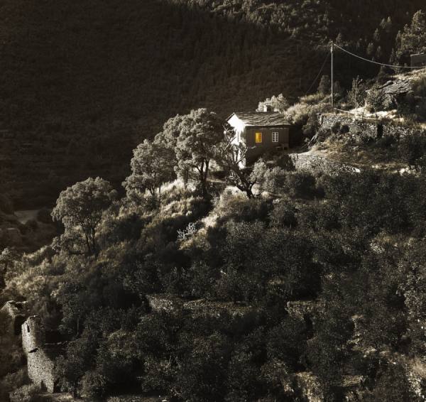 Photograph Mark Benham Isolated on One Eyeland