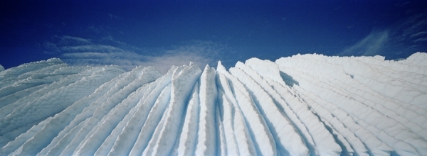 Photograph Montana Pritchard Isolation Revealed Antarctica on One Eyeland