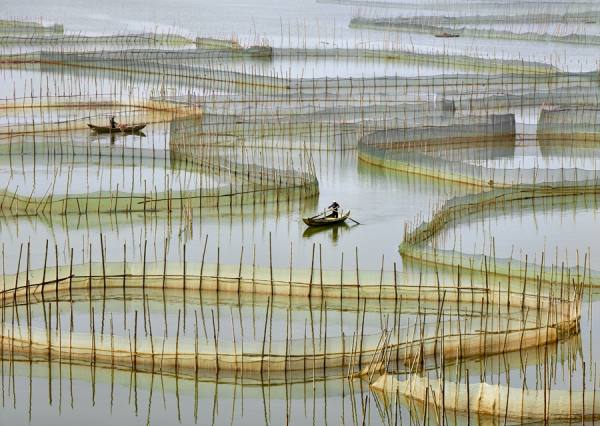 Photograph Thierry Bornier Labyrinth Of Nets on One Eyeland