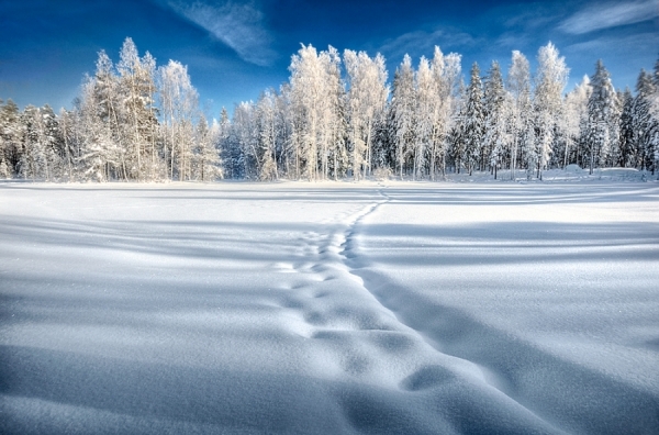 Photograph Mikko Lagerstedt Light And Shadows on One Eyeland