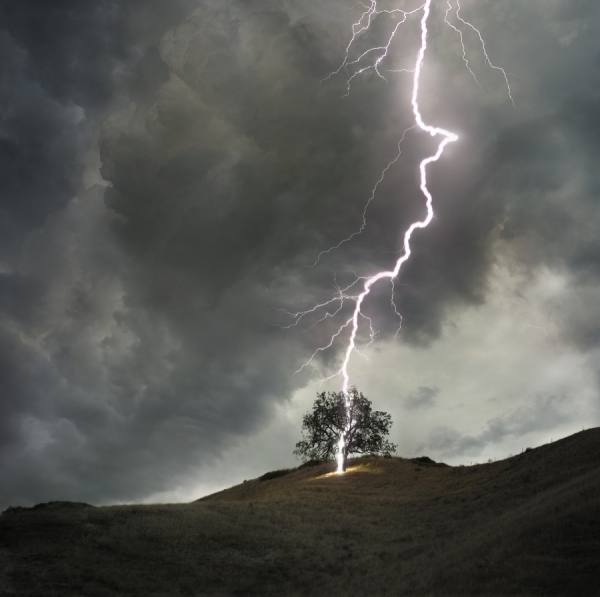 Photograph Allan Davey Lightning Tree on One Eyeland
