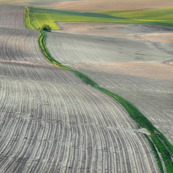 Photograph Rado Bliznakov Lines on One Eyeland