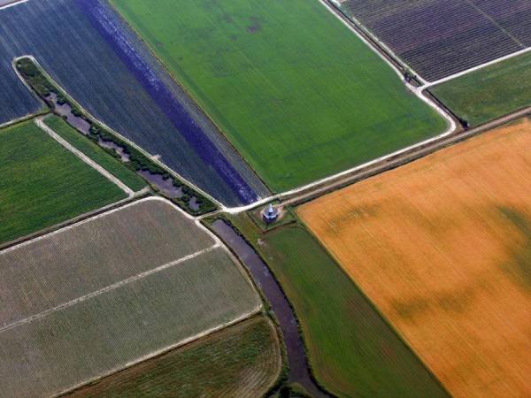 Photograph Yuriy Korzhenevskyy Lines on One Eyeland