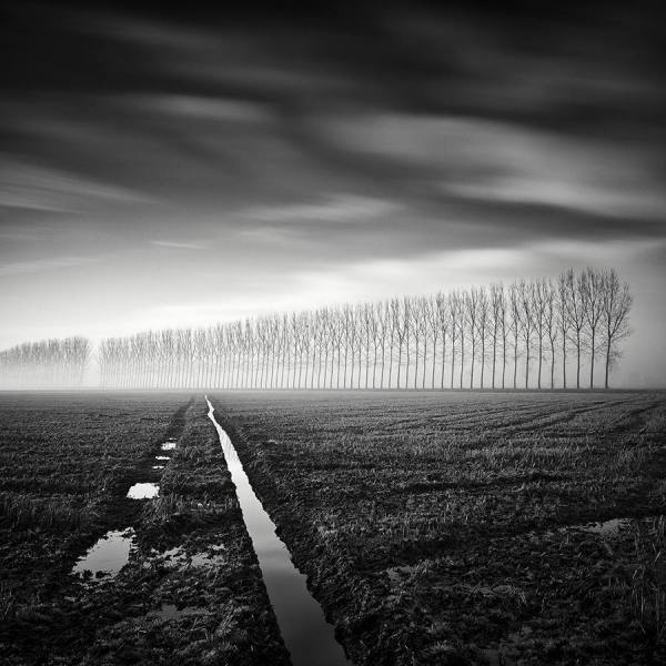 Photograph Pierre Pellegrini Lines Of Nature on One Eyeland