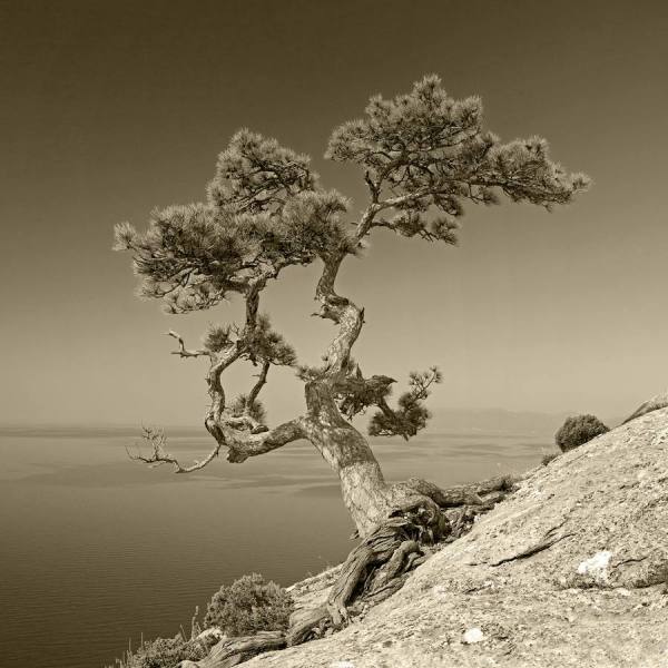 Photograph Yuriy Korzhenevskyy Loneliness on One Eyeland
