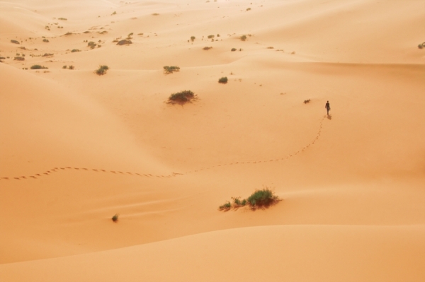 Photograph Hesham Alhumaid Lost In Desert on One Eyeland
