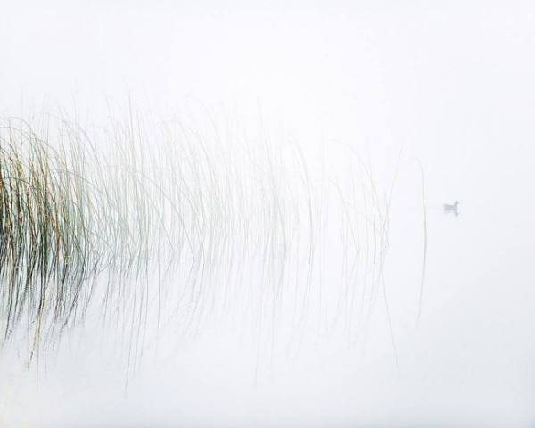 Photograph Craig Easton Lough Derg Ireland on One Eyeland