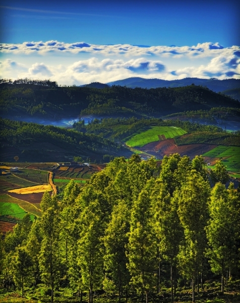 Photograph Aswin Rao Lovedale Ooty on One Eyeland