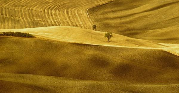 Photograph Enzo Crispino Madre Terra on One Eyeland