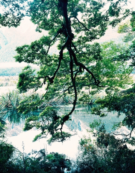 Photograph Simon Stock Mirror Lake New Zealand on One Eyeland