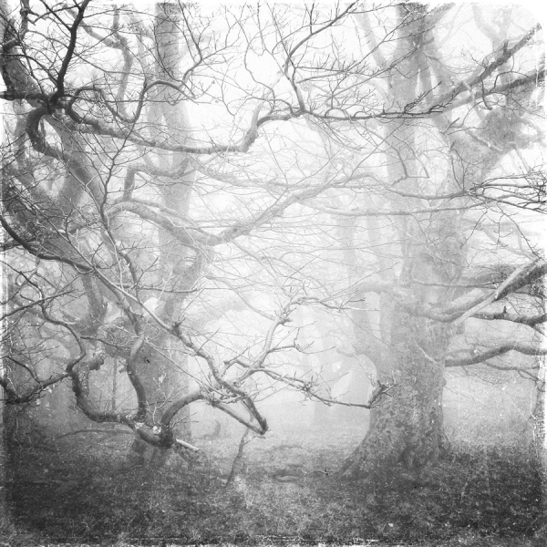 Photograph Ivan Dzyuba Misty Weave on One Eyeland
