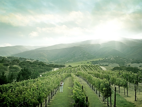 Photograph Andy Mahr Monterey Wine on One Eyeland