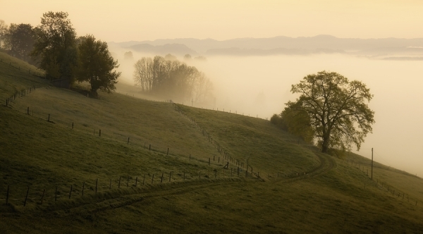 Photograph Norbert Maier Morning Fog on One Eyeland