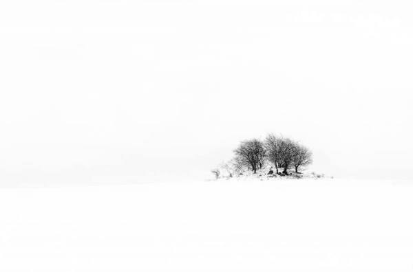 Photograph Gert Lavsen Mould on One Eyeland