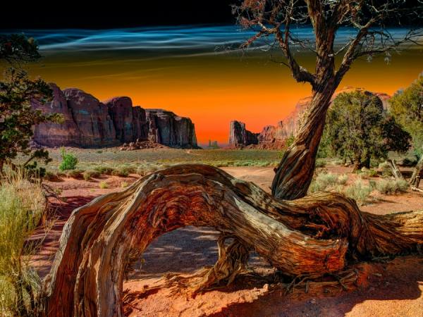 Photograph Wick Beavers Navajo Nation on One Eyeland