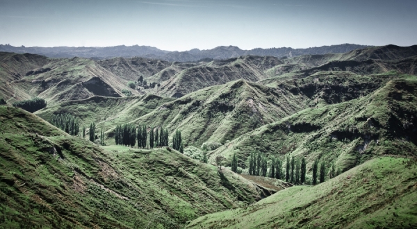 Photograph Olivier Staub New Zealand on One Eyeland