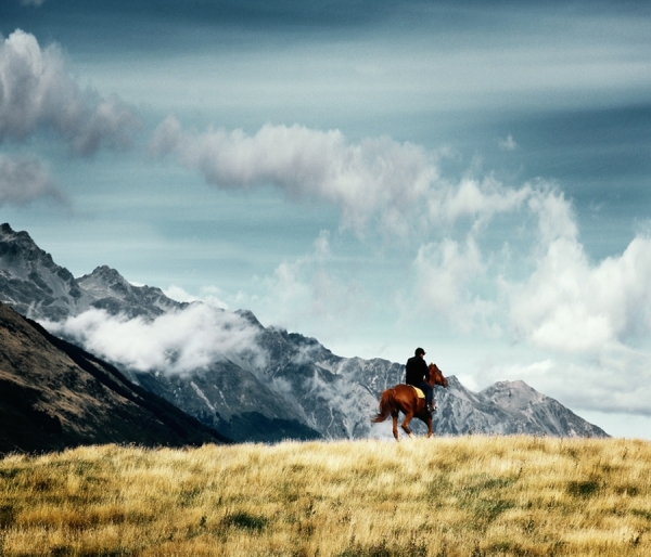 Photograph Simon Stock New Zealand Horse on One Eyeland